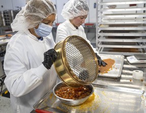 Alba Rincon, left, and Miryam Rojas break up trays of cannabis edibles and sort them at the company's London plant. Photograph taken on Wednesday, Nov. 30, 2022. (Mike Hensen/The London Free Press)