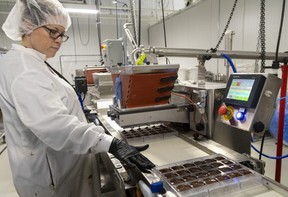 Kirsten Norton, a chocolatier for Indiva, fills trays chocolate edible cannabis at the London plant. Photograph taken on Wednesday, Nov. 30, 2022. (Mike Hensen/The London Free Press)