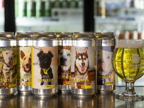 London Brewing's new Mexican lager is canned and labelled with photos of six adoptable street dogs rescued from Mexico by a Southwestern Ontario group as an awareness and fundraising campaign. 
(Mike Hensen/The London Free Press)
