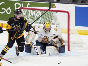 Hamilton Bulldogs' Ryan Humphrey, left, chases for a rebound in front of Shawinigan Cataractes goaltender Antoine Coulombe during the first period of Memorial Cup hockey action in Saint John, N.B., on June 23, 2022. THE CANADIAN PRESS/Darren Calabrese