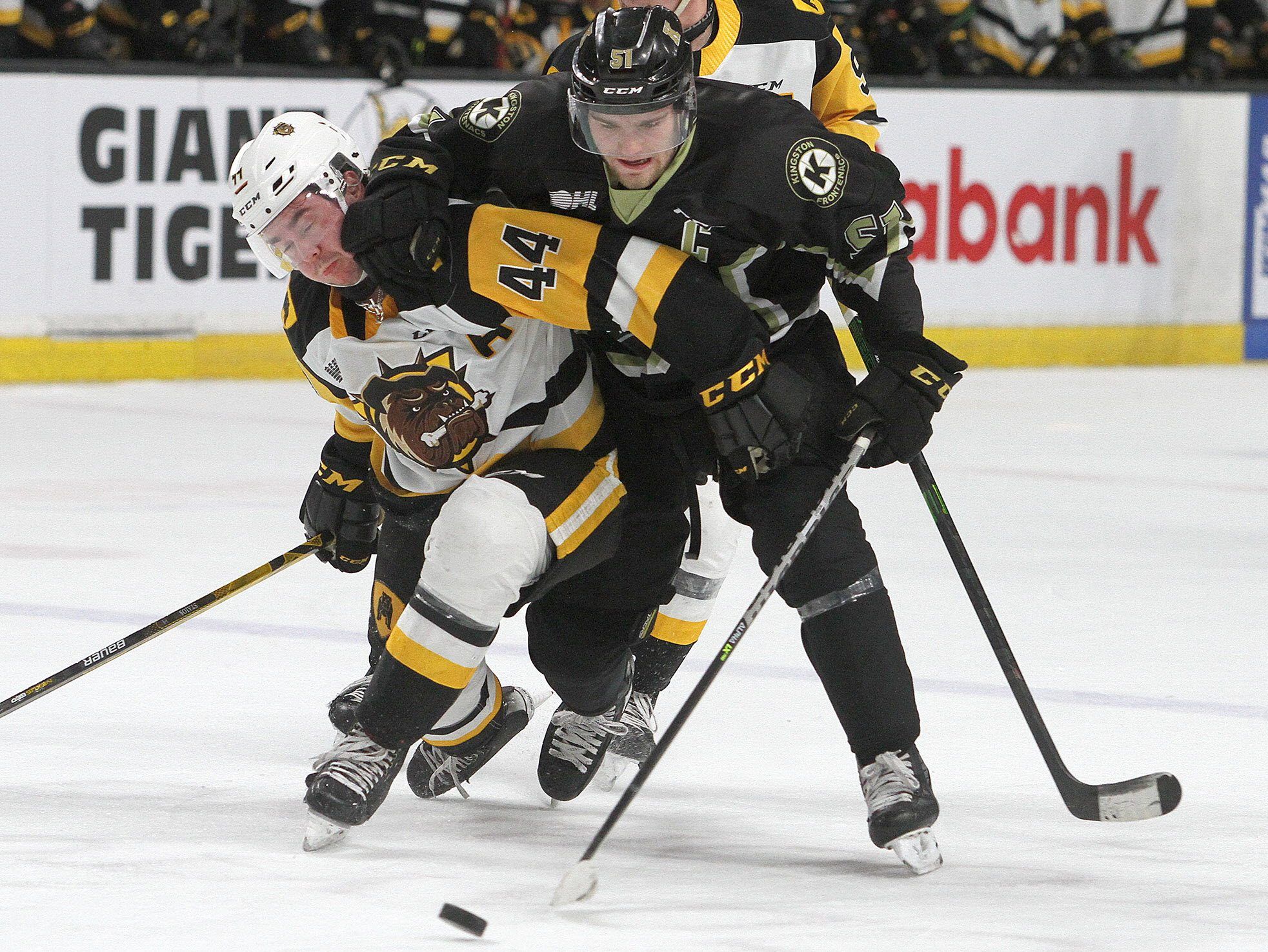 wright-gone-windsor-spitfires-snag-canadian-world-junior-captain