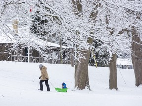Jinho Cho pulls his two-year-old son Yungeon on a sled in Springbank Park in London on Monday, Jan. 23, 2023. Derek Ruttan/The London Free Press