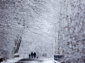 A change in the weather brought wet snow to the paths through Greenway Park in London on Sunday January 22, 2023. (Mike Hensen/The London Free Press)