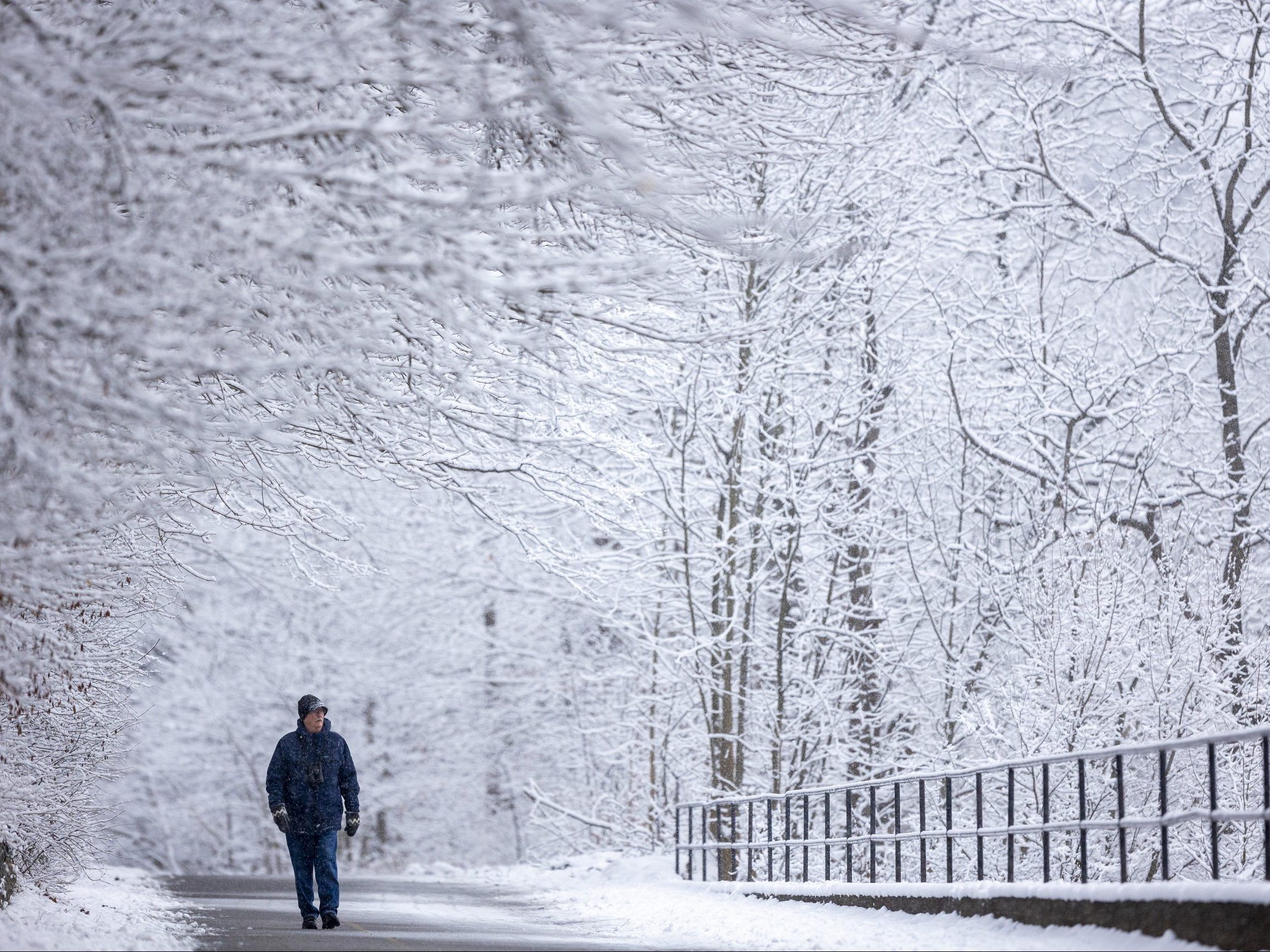 one-of-the-mildest-local-winters-ever-with-a-few-snowy-blasts-thrown