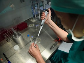 A clinician prepares a sample of sperm and an egg for the process of fertilization under a microscope in 2016. (Getty Images)