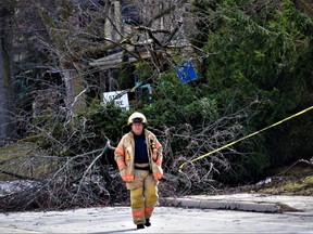 Emergency crews responded to a downed tree that fell on a bus stop on Ridout Street, north of Tecumseh Avenue, around 1:30 p.m. Wednesday Feb. 15, 2023. Nobody was injured. (CALVI LEON/The London Free Press)