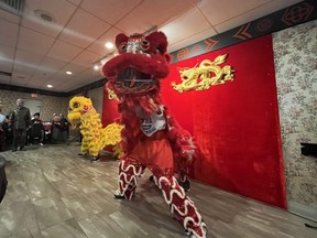 The lion dance kicks off a Chinese New Year celebration at Shanghai Restaurant in London on Saturday Feb. 4, 2023. The event, celebrating the year of the rabbit, was organized by the Chinese Canadian National Council’s local chapter. (Jennifer Bieman/The London Free Press)