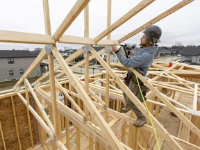 Nate Loughlean of Starwood Homes works on framing a house with colleagues on Wharncliffe Road South in London on Thursday, Feb. 16, 2023. (Mike Hensen/The London Free Press)