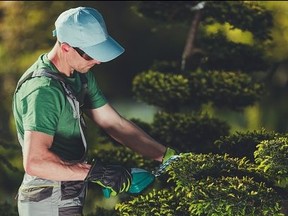 Landscaping contractor