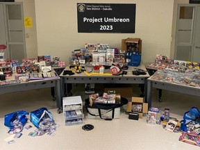 Halton Regional police have charged two people in break-ins at collectible stores across Ontario, including London. (Halton regional police photo)