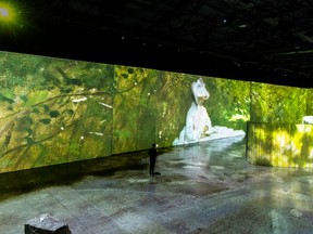 Imagine Monet: The Immersive Exhibition opens at 100 Kellogg Thursday and continues until April 7.