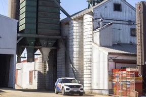 An 18-year-old died Wednesday after falling into a grain silo at Elgin Feeds in Aylmer. (Mike Hensen/The London Free Press)