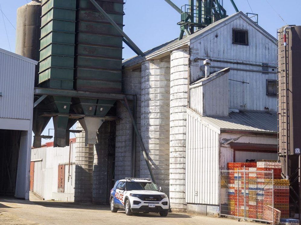 Probe launched into death of teen worker in grain elevator fall - Vimarsana News