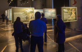 Les visiteurs parcourent une série de panneaux d'information sur la vie et l'époque de Monet, avant d'entrer dans un espace où des images de son art sont affichées sur les murs.