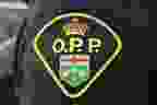 Ontario Provincial Police badge (File photo)