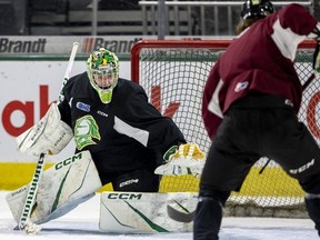 London Knights goalie Brett Brochu  is kept busy at practice at Budweiser Gardens on Tuesday, April 25, 2023.  (Mike Hensen/The London Free Press)