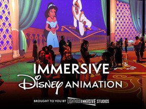 Disney immersive