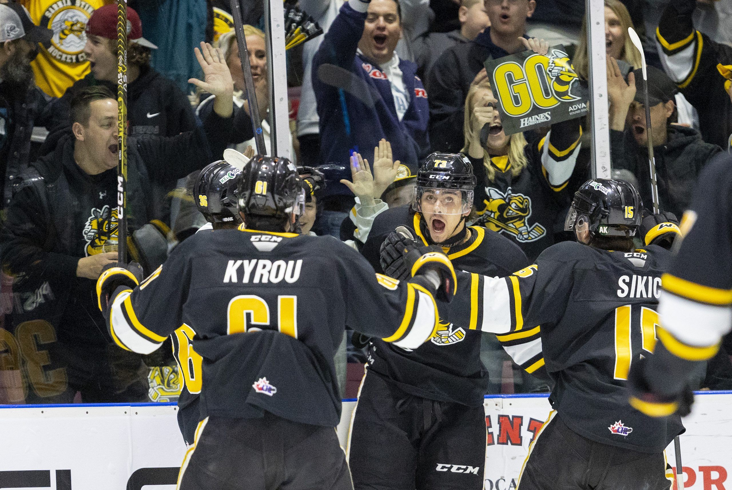 IN PHOTOS: Sarnia Sting Fans Revel In Team's Historic OHL Playoff Run ...