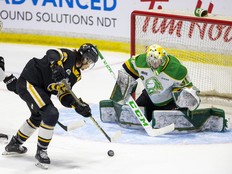 Rookie's first goal sparks London Knights win over Sarnia