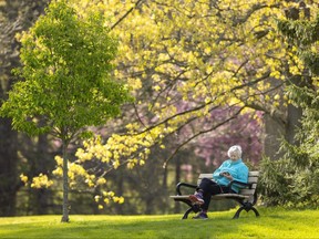 Lois Rose, of London, surrounded by flowering and freshly leafed-out trees, checks her phone while sitting on a familiar bench in Springbank Park.
Rose said she used to sit with her late husband during their walks through the park. Rose said the park is “beautiful, it’s peaceful, I enjoy the flowers and the birds, and it’s full of memories.” Photograph taken on Thursday May 11, 2023.  (Mike Hensen/The London Free Press)