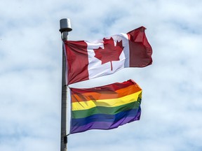 Pride flag - Figure 1