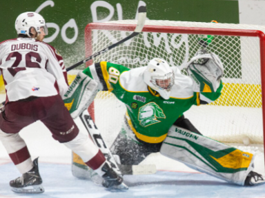 Hear from the fans as Knights win opening OHL final game