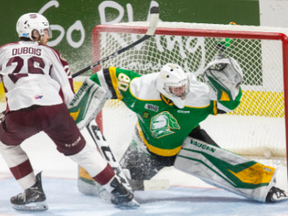 Jax Dubois of the Peterborough Petes snows London Knights goalie Owen Willmore in Game 5 of the OHL finals at Budweiser Gardens in London on Friday May 19, 2023. Derek Ruttan/The London Free Press