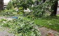 Tree branches lie on the ground on King Street West in Chatham on Friday, Aug. 25, 2023, following a storm Thursday night that knocked out power to thousands of homes and businesses and caused widespread damage to trees and property. (Trevor Terfloth/The Daily News)