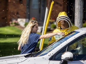 Beekeepers Terri Faloney, left, and Tyler Troute remove bees from a car after a truck carrying bee hives swerved on Guelph Line road causing the hives to fall and release millions of bees in Burlington on Wednesday, Aug. 30, 2023.
