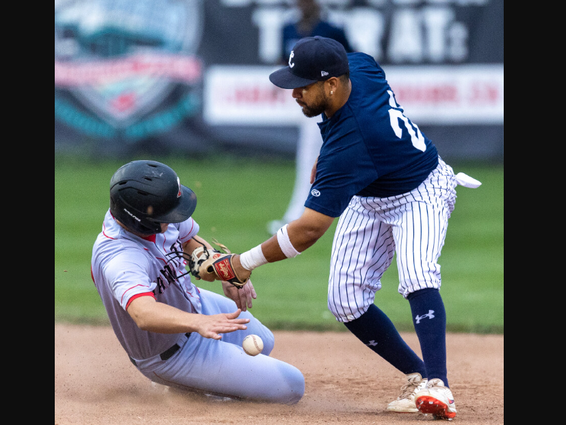 Hamilton Yankees -  Canada