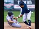 The ball pops out of the glove of Tommy Reyes-Cruz of the London Majors as he tries to tag Josh Niles of the Hamilton Cardinals, who was stealing second base, during their Intercounty Baseball League game at Labatt Park in London on August 9, 2023. Derek Ruttan/The London Free Press