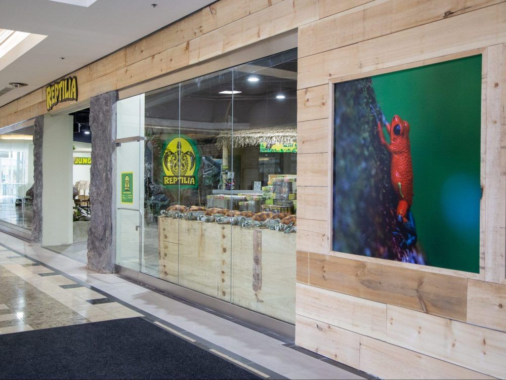 Reptilia store store