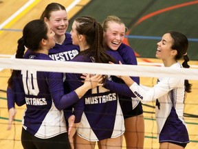 The Western Mustangs celebrate after winning a point against the Windsor Lancers in a women's volleyball exhibition match at St. Clair College's Chatham campus on Saturday, Oct. 21, 2023. (Mark Malone/Postmedia Network)