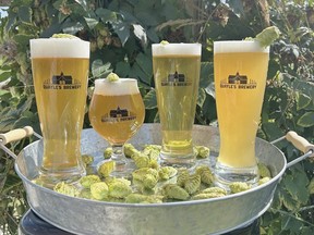 Quayle's Brewery 4 Fresh Hop beers