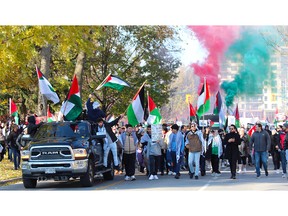 Pro-Palestinian demonstrators