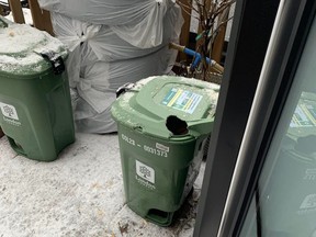 green bin damage
