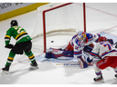Sam O’Reilly of the London Knights deked Jackson Parsons of the Kitchener Rangers out of the net and then rang his backhand off the far post and out in the second period of their OHL game at Budweiser Gardens in London on Saturday January 20, 2024. Mike Hensen/The London Free Press/Postmedia Network