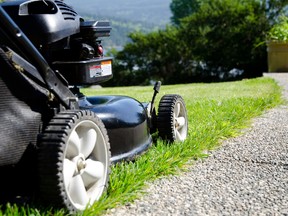 gas-powered lawn mower