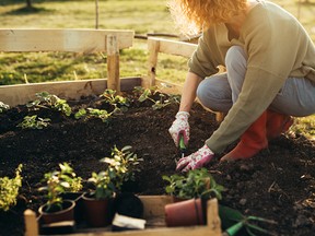 close up of woman feeling relaxed gardening in her garden