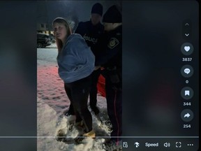 This is a screenshot of a TikTok video posted on Brittany Norris's account called, "Sarnia cops arresting me." (TikTok)