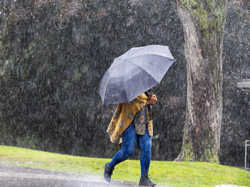 Heavy rainfall floods London streets, triggers emergency in Southwold Township