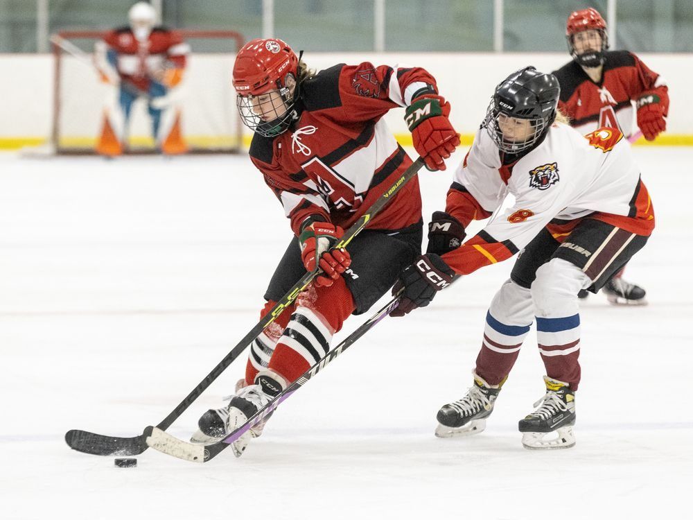 Tessa Thomas of Saunders checks Mya Mulcahy of St. Thomas Aquinas during their TVRA girls high school hockey game at StarTech.com Community Centre in London on Monday December 16, 2024. (Derek Ruttan/The London Free Press)
