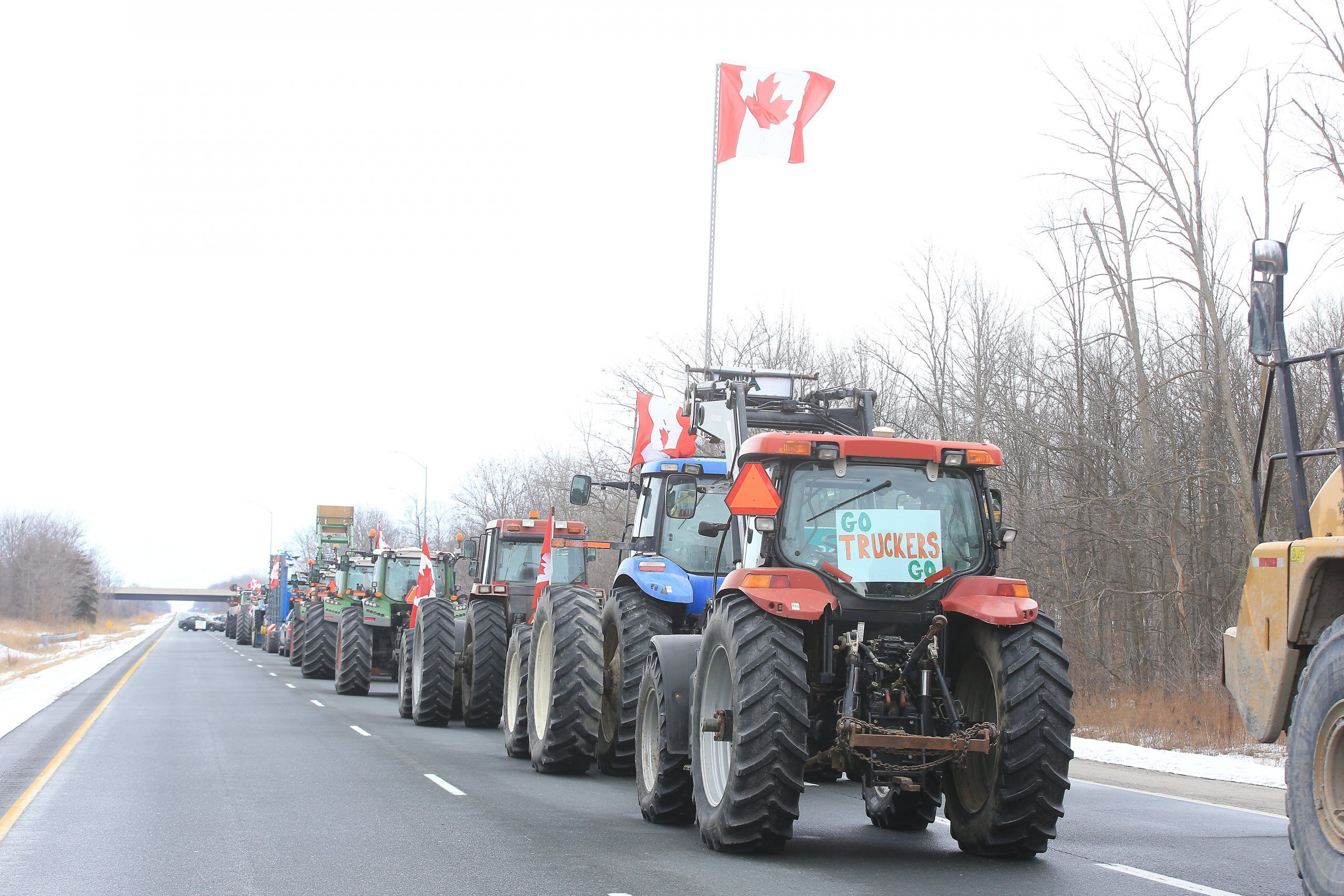 A Watford man convicted of mischief in 2022 when Hwy. 402 was blocked during the Freedom Convoy has been jailed for a series of new crimes.