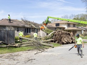 Clean-up continues in parts of London lashed by spring storm Clean-up continues in parts of London lashed by spring storm