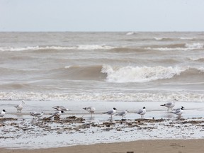 The beach in Port Burwell