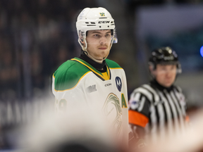 Preview: London Knights vs. Medicine Hat Tigers for the Memorial Cup Preview: London Knights vs. Medicine Hat Tigers for the Memorial Cup