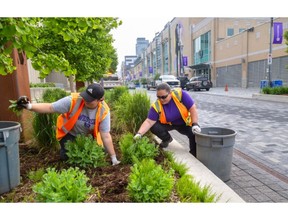 Convocation central: London’s arena district braces for two mega-grads Convocation central: London’s arena district braces for two mega-grads