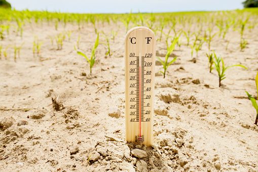 Dyer: Trade wars distract from climate change emergency