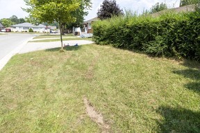 Breton Park