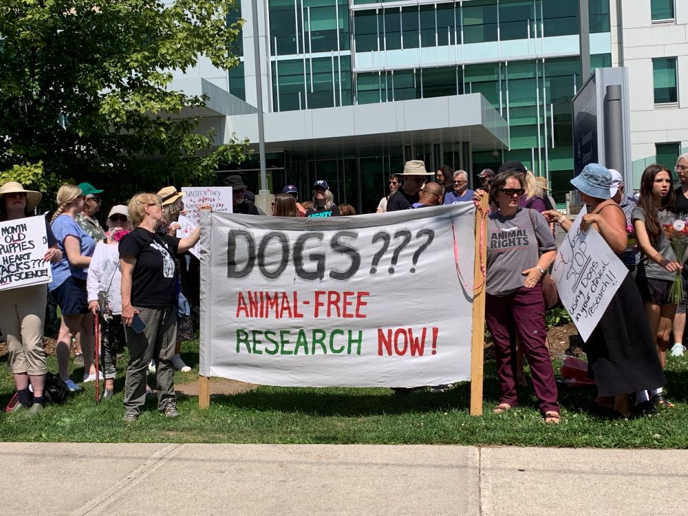  People opposing the use of dogs in research at St. Joseph’s Hospital in London take part in a vigil outside the hospital on Saturday, Aug. 9, 2025. (Heather Rivers/The London Free Press)